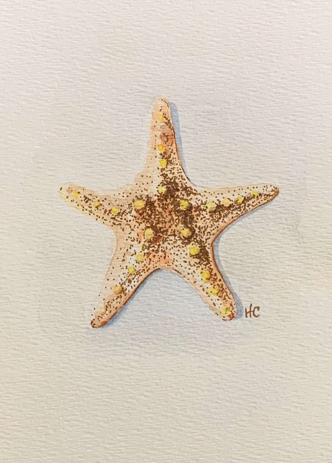 watercolor starfish with ink detail